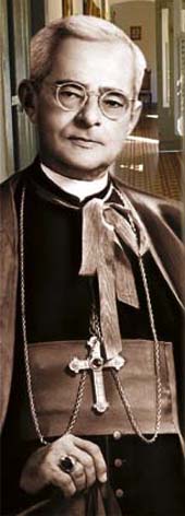 Dom José